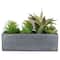 12" Mixed Succulent Plants in Rectangular Planter